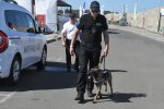 Борбата срещу наркотиците срещна митническо куче и куче робот