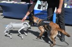 Борбата срещу наркотиците срещна митническо куче и куче робот