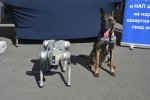 Борбата срещу наркотиците срещна митническо куче и куче робот