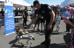 Борбата срещу наркотиците срещна митническо куче и куче робот