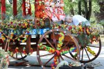Ратха Ятра Фестивал в столичния парк "Борисова градина"