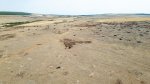 Фотоволтаичен парк край врачанското село Габаре застрашава поминъка на местните животновъди