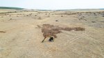 Фотоволтаичен парк край врачанското село Габаре застрашава поминъка на местните животновъди