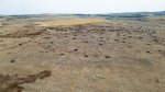 Фотоволтаичен парк край врачанското село Габаре застрашава поминъка на местните животновъди