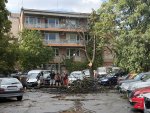 След бурята в столицата падна дърво върху автомобил, по чудо няма пострадали
