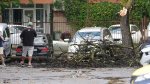 София - Паднало дърво върху автомобил в кв.Стрелбище