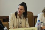 София - Заседания на комисии в НС