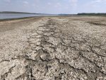 Река Дунав  в района на село Гиген се е отдръпнала с  поне  300 метра от  брега