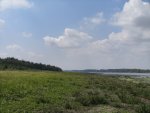 Гиген - Дунав в района на  основите на Константиновия мост