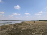 Гиген - Дунав в района на  основите на Константиновия мост