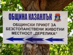 Нелегално гробище за домашни любимци