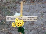 Нелегално гробище за домашни любимци