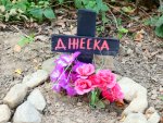 Нелегално гробище за домашни любимци