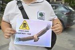 Протест в Пловдив -  срещу отровените лешояди в Стара планина