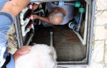 Варна - Спират водата в незаконния комплекс „Баба Алино“