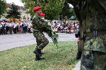 Плевен - Ден на Съединението