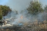 София - Запалени треви