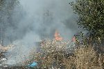 София - Запалени треви
