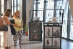 Бургас - Студентски филмов и театрален фестивал Dream Fest