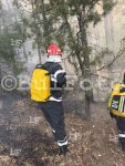 Военнослужещи и техника участват в гасенето на пожара край Димовци, Област Стара Загора