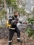 Стара Загора - Овладяване на пожар край село Димовци