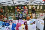 Ямбол - Фермерско изложение и Фестивал на драконовите лодки