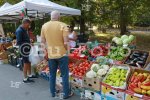 Ямбол - Фермерско изложение и Фестивал на драконовите лодки