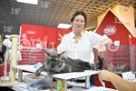 Пловдив - Международна изложба на котки "GRAND MEET TICA"