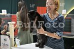 Пловдив - Международна изложба на котки "GRAND MEET TICA"