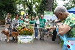 Варна - Игри, спорт и забавления за деца и семейства днес на „Варна играе“