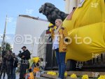 София - Протест за ново разследване за "Петрохан"