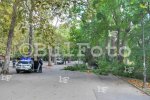 Варна - Голям клон падна върху хора