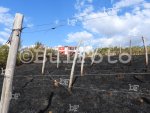 При пожар до харманлийското село Коларово изгоряха лозови масиви