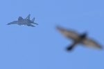 СОФИЯ - Самолетите с тленните останки на цар Самуил прелитат над пл. Батенберг