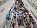 София - Международна изложба на котки в The Mall