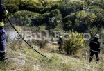 Варна - Сухи треви горят край село Каменар
