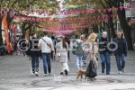 Бургас - Слаба избирателна активност