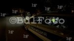 Автомобили  прегазиха в тъмното крава преди хасковското село Конуш