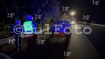 Хасково - Автомобили прегазиха крава преди село Конуш