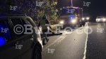 Хасково - Автомобили прегазиха крава преди село Конуш