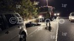 Хасково - Автомобили прегазиха крава преди село Конуш