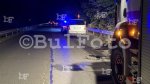 Хасково - Автомобили прегазиха крава преди село Конуш