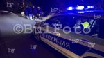 Хасково - Автомобили прегазиха крава преди село Конуш