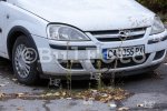 София - Отстраняване на дървесна растителност в кв.Надежда