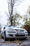 София - Отстраняване на дървесна растителност в кв.Надежда