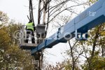 София - Отстраняване на дървесна растителност в кв.Надежда