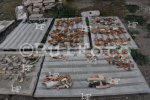 Видин - Финал на археологическия сезон в антична Рациария