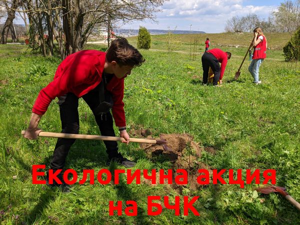 БЧК активисти засадиха дръвчета във Варна