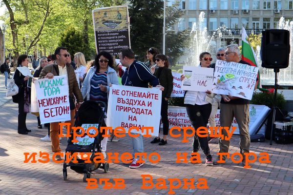 Варненци протестират срещу изсичането на защитена гора