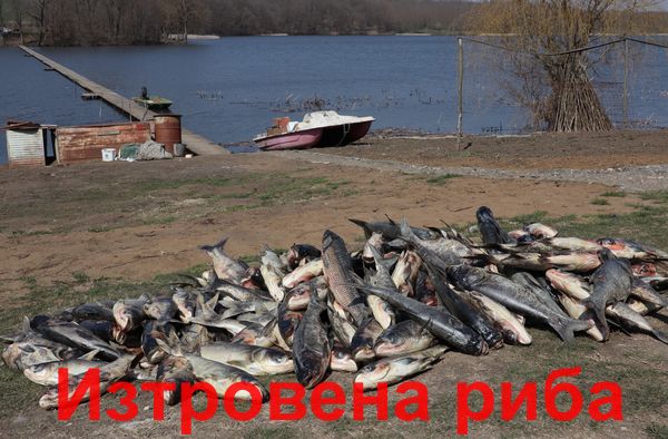 Изтровиха тонове риба в язовир във Варненско